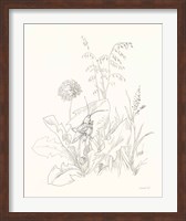 Framed Nature Sketchbook VII