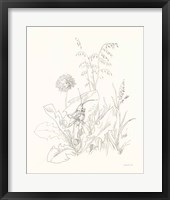 Nature Sketchbook VII Framed Print