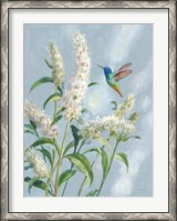 Framed Hummingbird Spring II Soft Blue