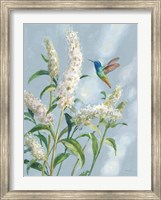 Framed Hummingbird Spring II Soft Blue