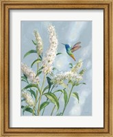 Framed Hummingbird Spring II Soft Blue