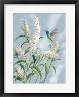 Hummingbird Spring II Soft Blue Framed Print