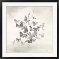 Framed Beautiful Butterflies BW