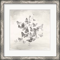 Framed Beautiful Butterflies BW