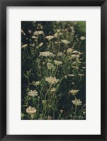 Running Wild I Framed Print