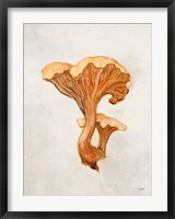 Framed Woodland Mushroom IV
