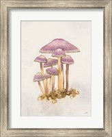 Framed Woodland Mushroom III