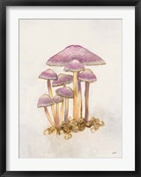 Framed Woodland Mushroom III