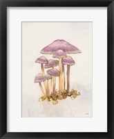 Woodland Mushroom III Framed Print