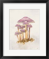 Framed Woodland Mushroom III