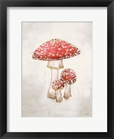 Framed Woodland Mushroom II