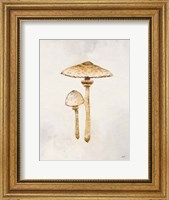 Framed Woodland Mushroom I