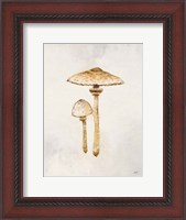 Framed Woodland Mushroom I