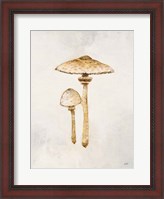 Framed Woodland Mushroom I
