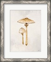 Framed Woodland Mushroom I