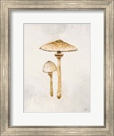 Framed Woodland Mushroom I