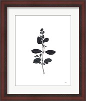 Framed Botanical Study Branch