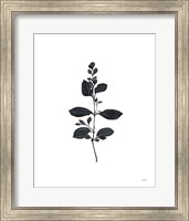 Framed Botanical Study Branch