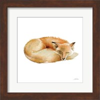 Framed Sleeping Fox on White