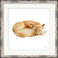 Framed Sleeping Fox on White