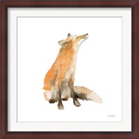 Framed Dreaming Fox on White