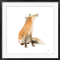 Framed Dreaming Fox on White
