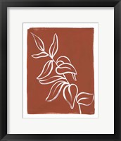 Porch Plant II Framed Print