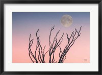 Framed Reaching Up Moon