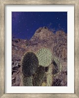 Framed Prickly Stars