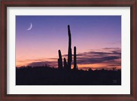 Framed Desert Moons