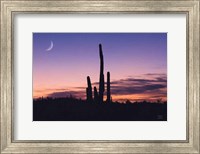 Framed Desert Moons