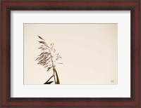 Framed Summer Reeds IV