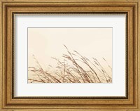 Framed Country Grasses II