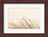 Framed Country Grasses II