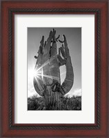 Framed Sunset Saguaro