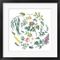 Framed Victorian Garden Bright I