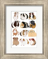 Framed Guinea Pigs In Glasses