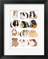 Framed Guinea Pigs In Glasses