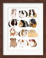 Framed Guinea Pigs In Glasses