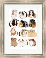 Framed Guinea Pigs In Glasses