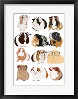 Framed Guinea Pigs In Glasses