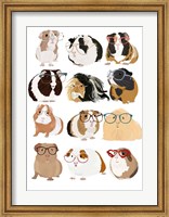 Framed Guinea Pigs In Glasses