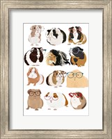 Framed Guinea Pigs In Glasses