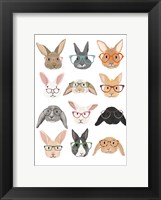 Framed Rabbits in Glasses