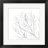 White Seaweed 1 Framed Print