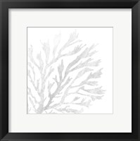 White Seaweed 2 Framed Print