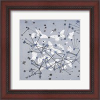 Framed 19th Century Butterfly Constellations in Blue I