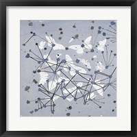 Framed 19th Century Butterfly Constellations in Blue I