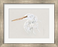 Framed Bright Egret Sketch II