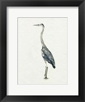 Framed Saltwater Herons II